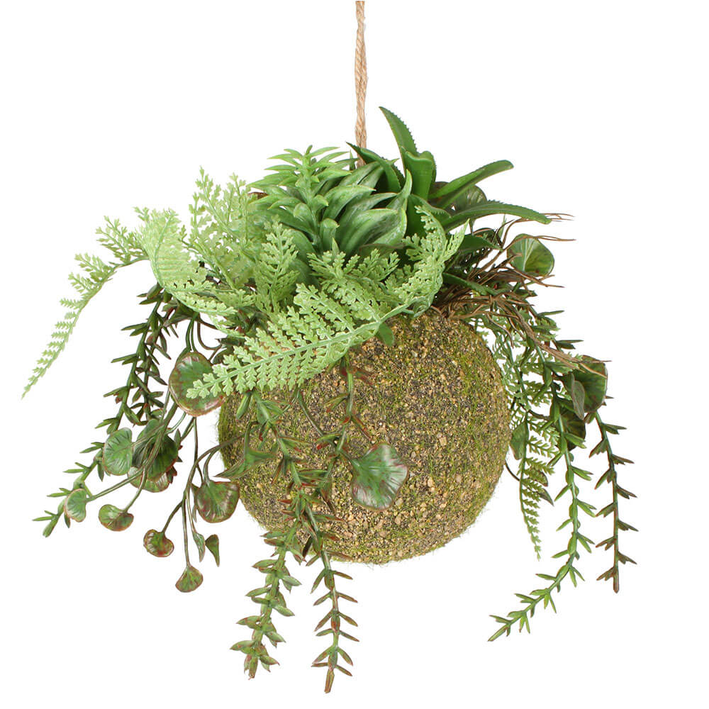 Moana Kokedama Hanging mixto