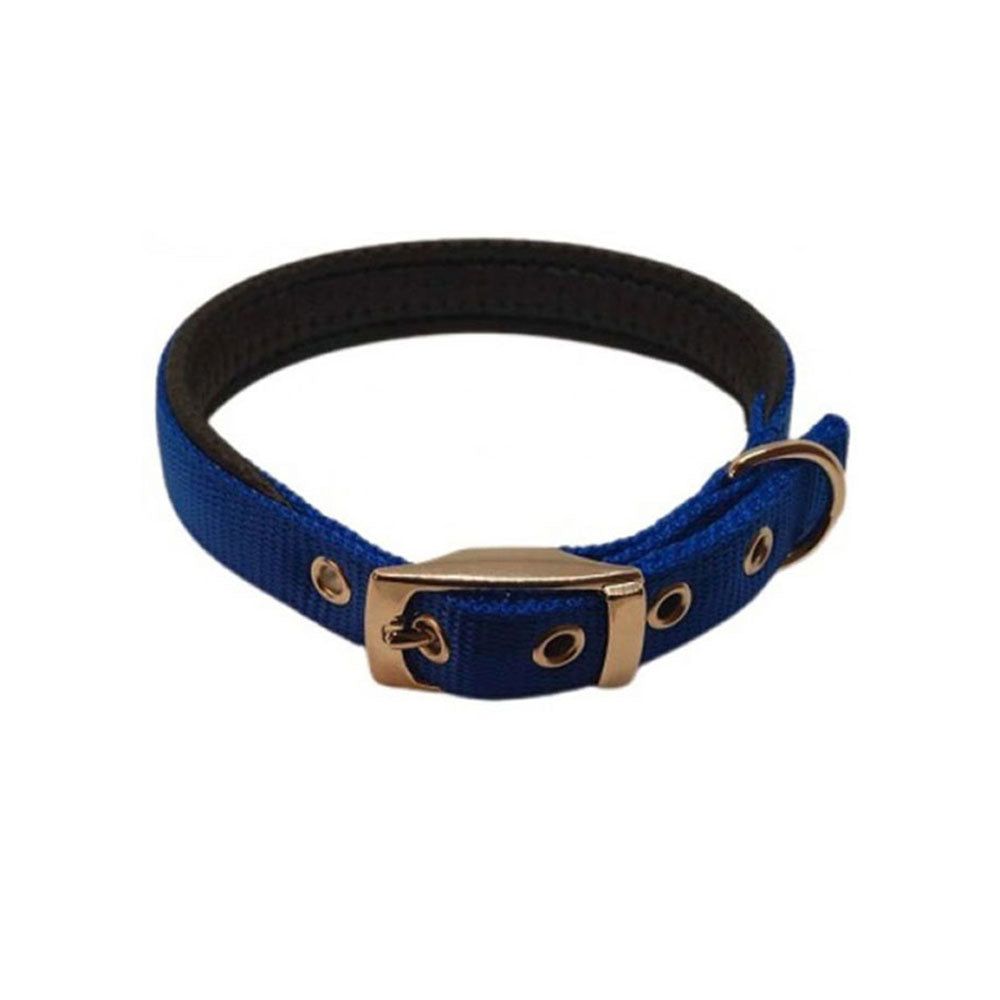 Nylon Padded Collar (Blue)