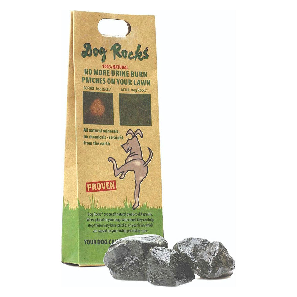 Filtro de rocas para perros