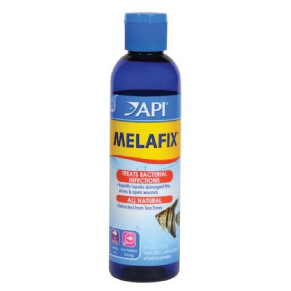 Tratamento antibacteriano da API Melafix