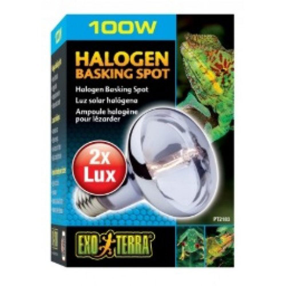 Exo terra halogen basking spot lampe