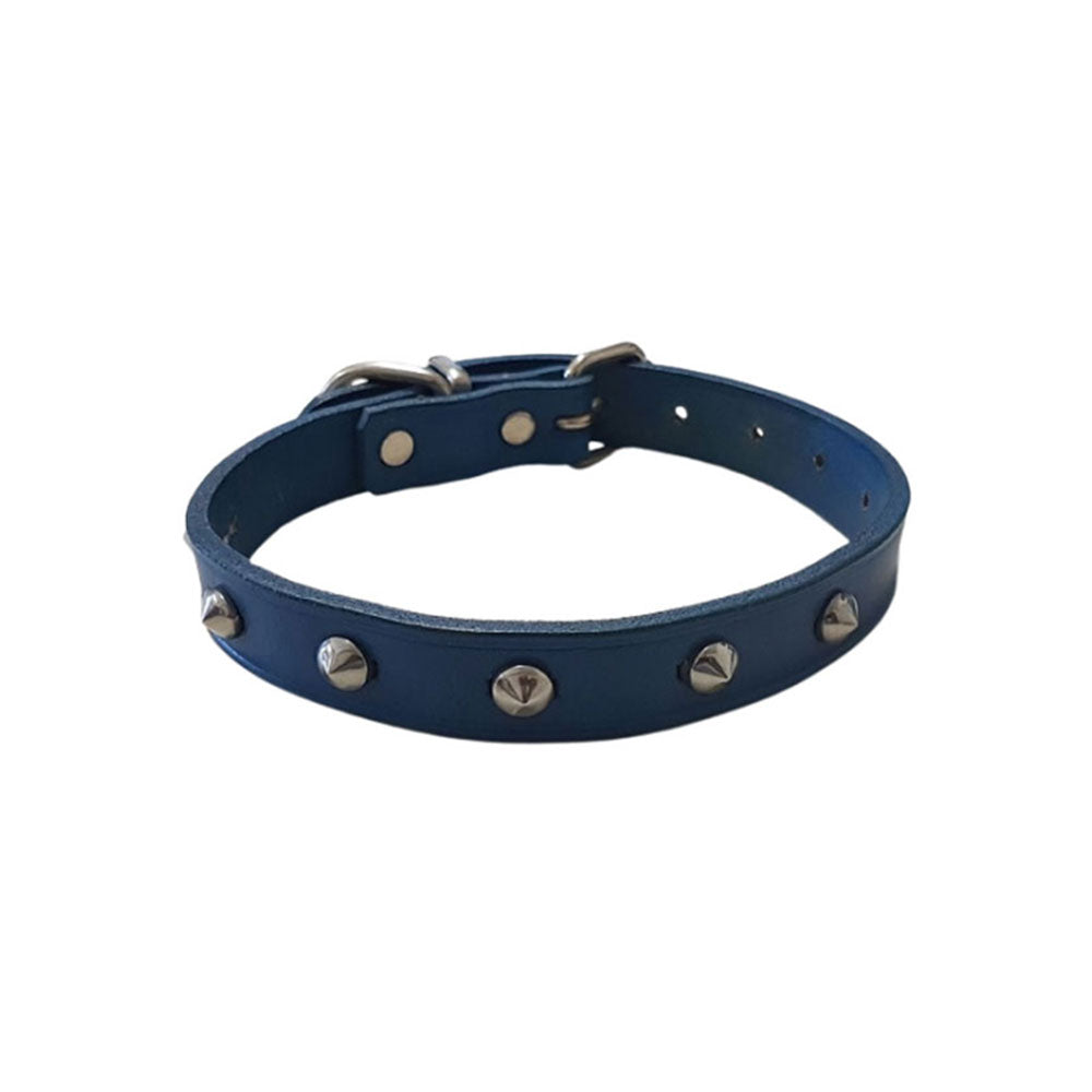 Halsband mit Leder besorgt (blau)