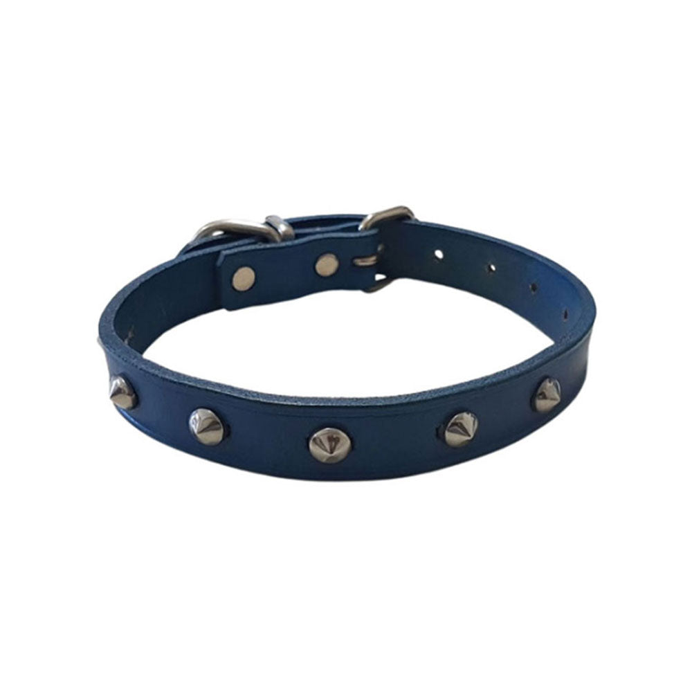 Collar in pelle per borchie (blu)