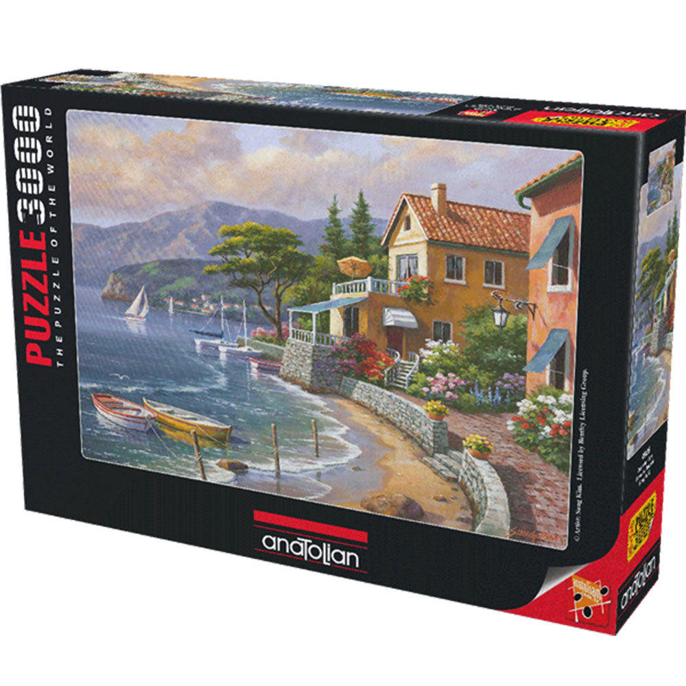 Anatoliano il puzzle del mondo 3000pcs