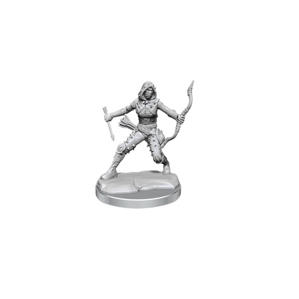 D & D Frameworks Miniature Model Kit