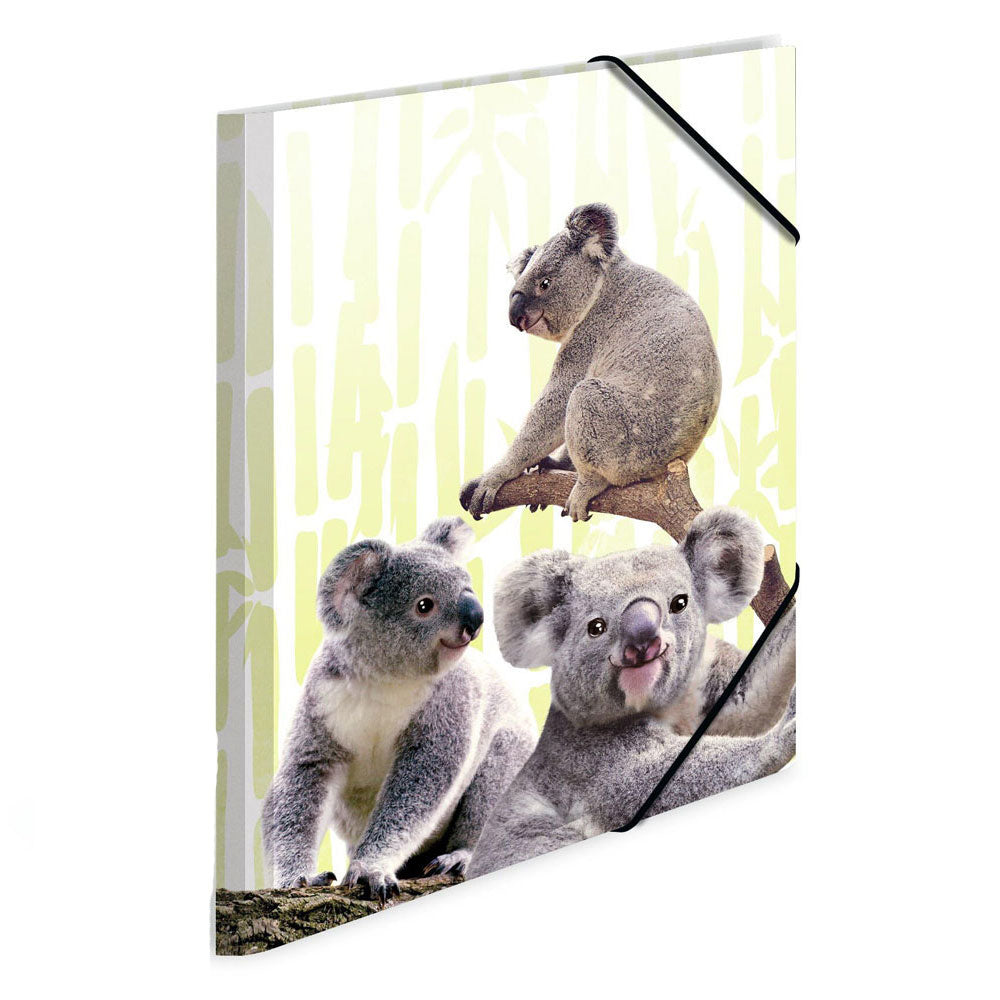 Herma Elasticed PP -mappe Koala -familie