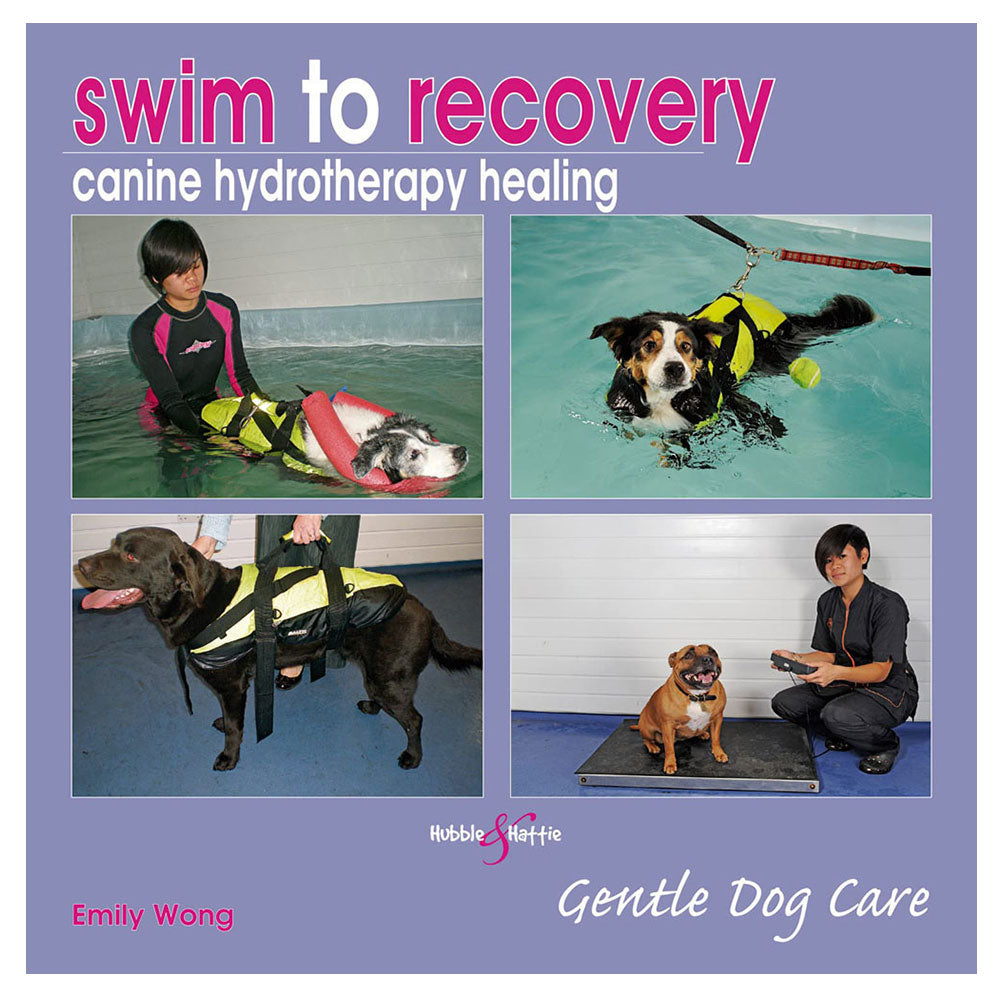 Swim to Recovery Canine Hydrotherapy Healing