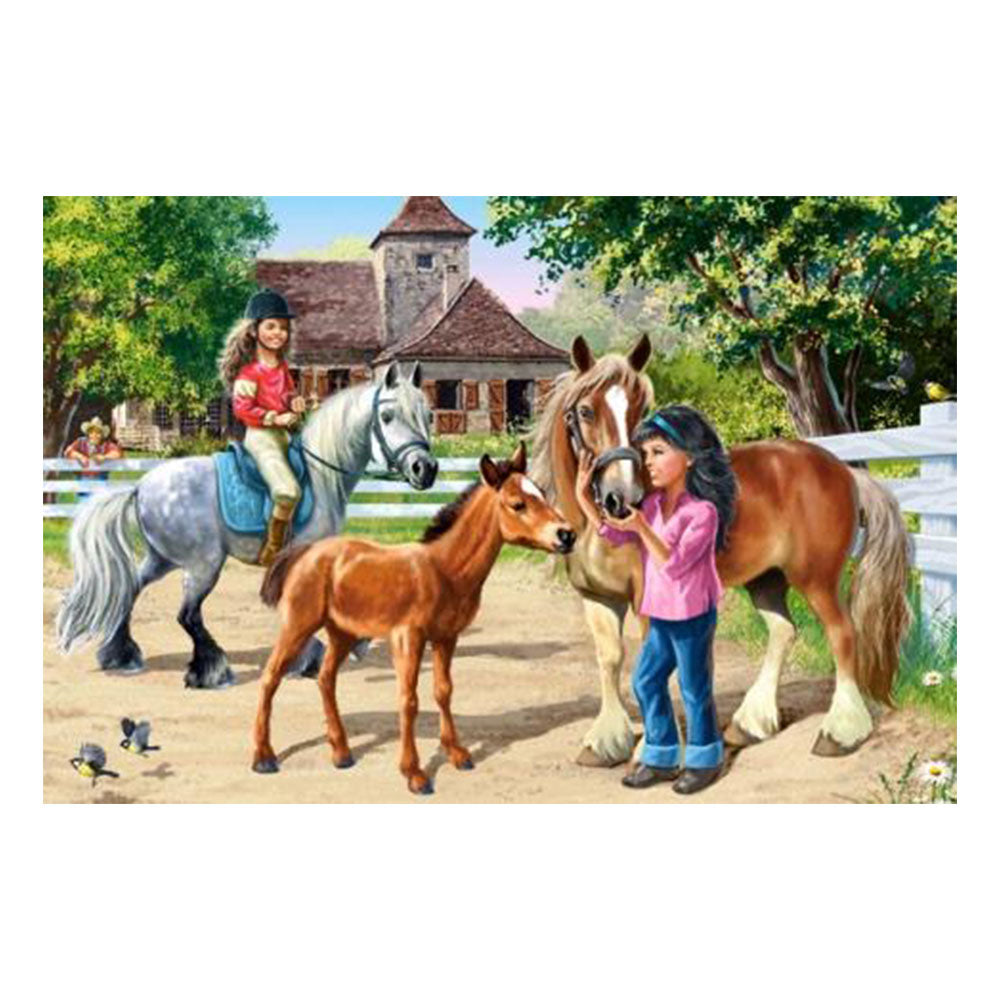  Castorland Classic Puzzle 70tlg