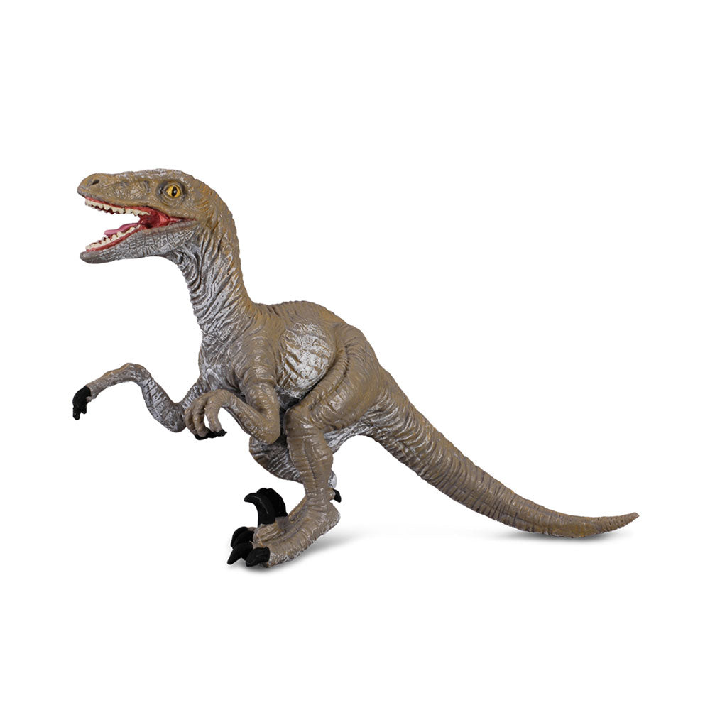 Collecta velociraptor dinosaurus figuur