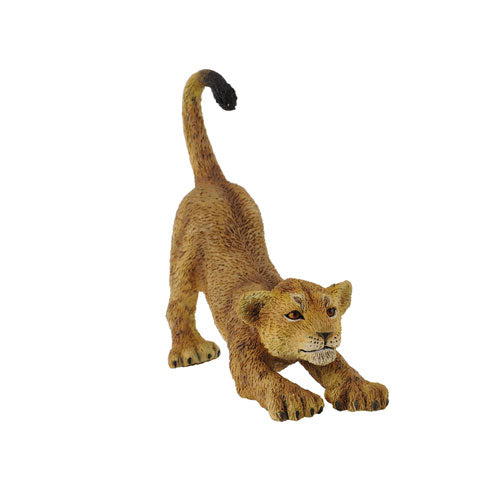 CollectA Lion Cub Figure (Small)