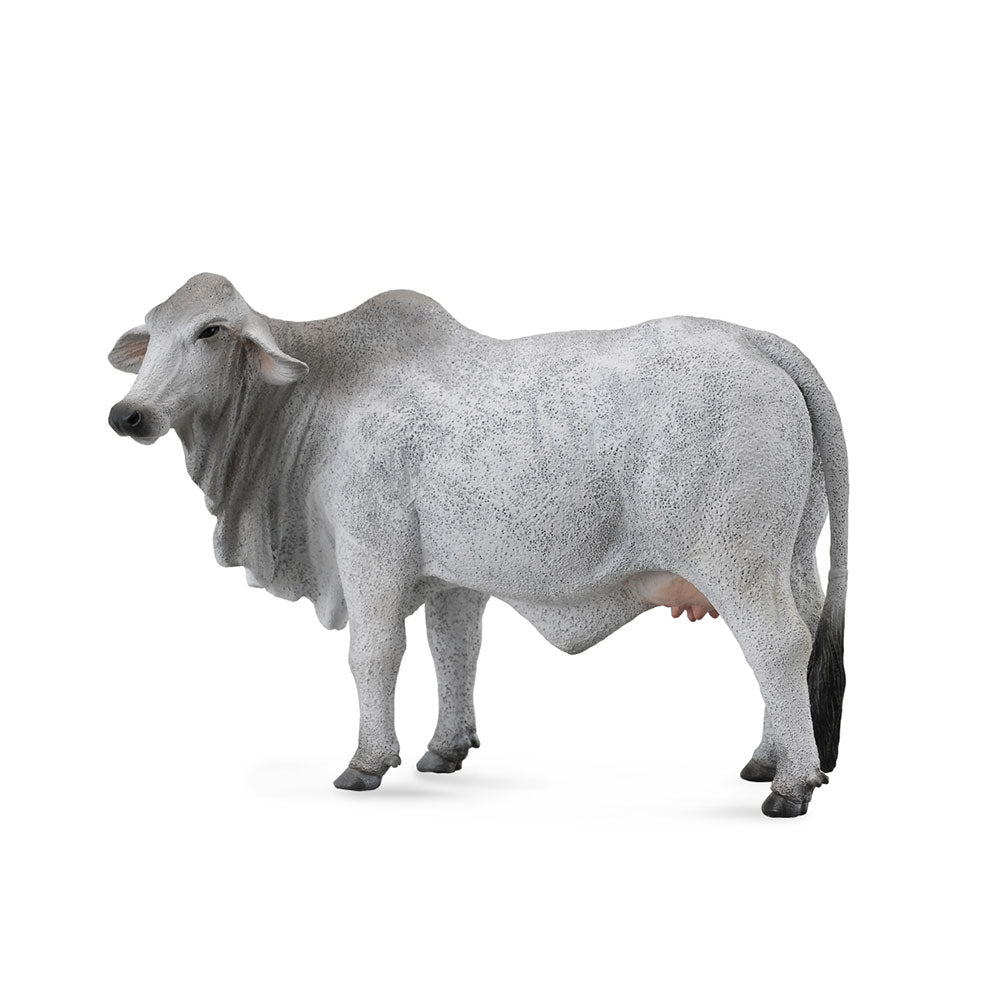 Collecta Brahman Cow Figure (stor)