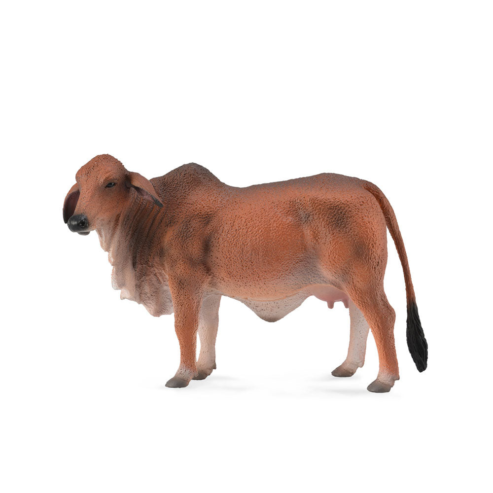 Collecta Brahman Cow Figure (stor)