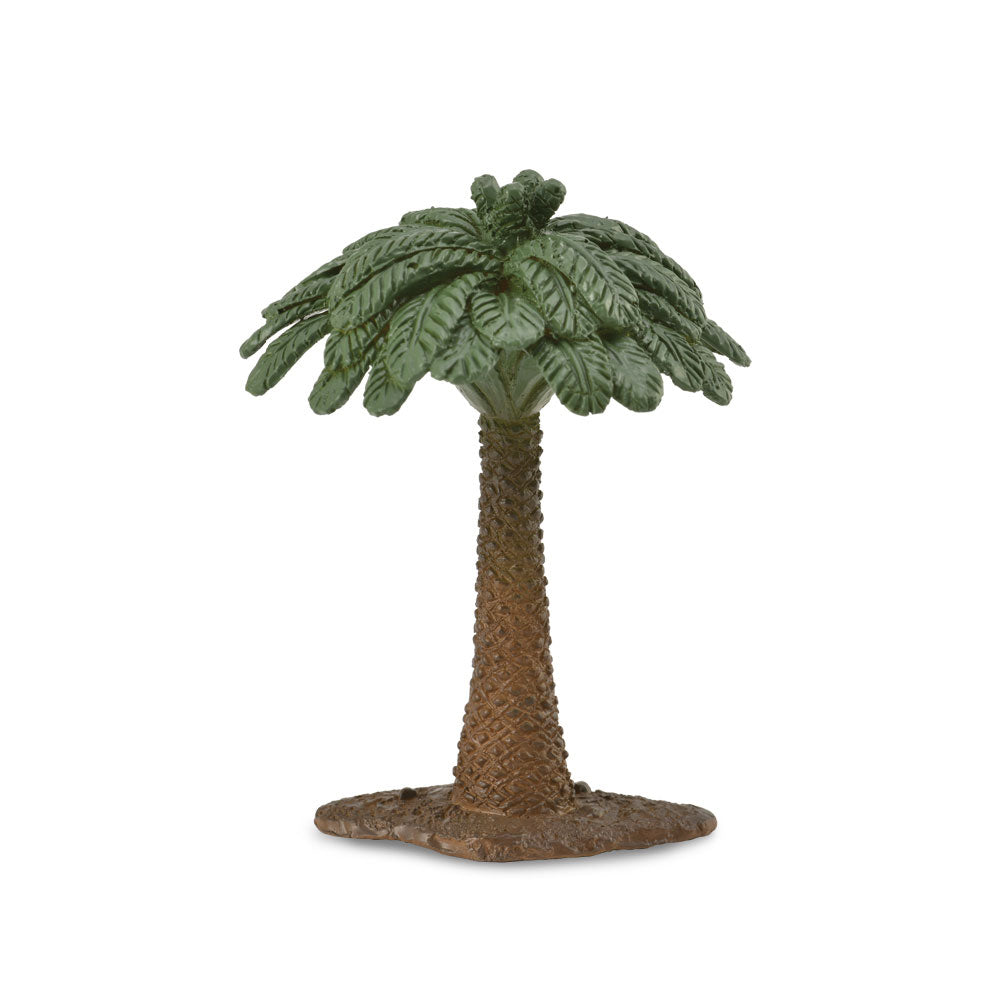 Figura dell'albero cycad da collezione