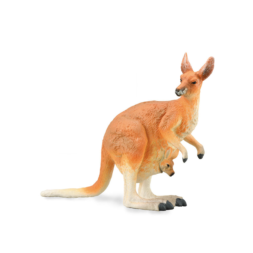 Kangaroo Red Red (grande)