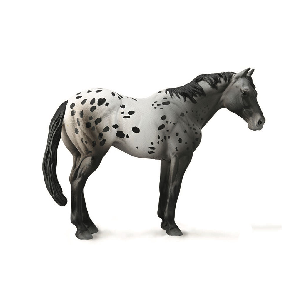 Collecta Appaloosa Stallion Figur (XL)