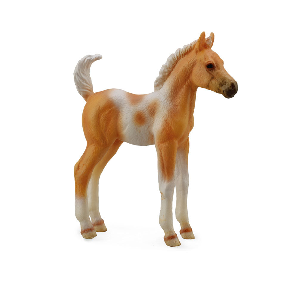 COCLLA PINTO FOAL PALOMINO FIGUR (Medium)