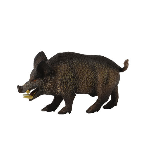 CollectA Wild Pig Figure (Medium)