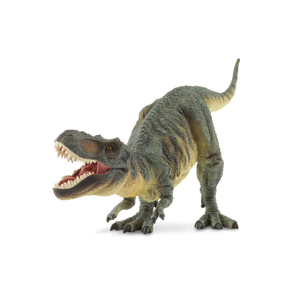 CollectA Tyrannosaurus Rex Dinosaur Figura