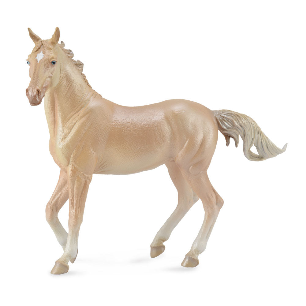 Collecta Akhal Teke Mare (extra groot)