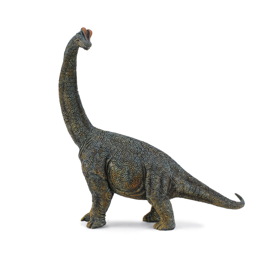 CollectA Brachiosaurus-Dinosaurierfigur