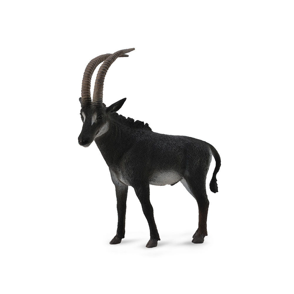 Colleca Giant Sable Antelope (stor)