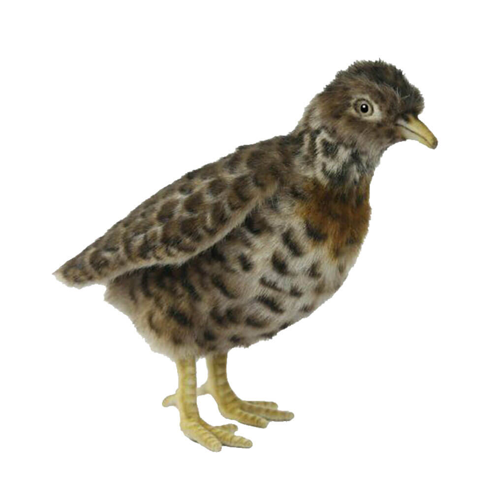 Hansa Plains Wanderer (19cm H)