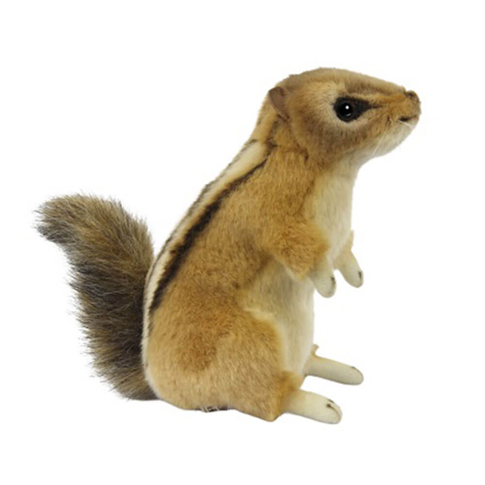 Chipmunk Plush Toy (8cm W)