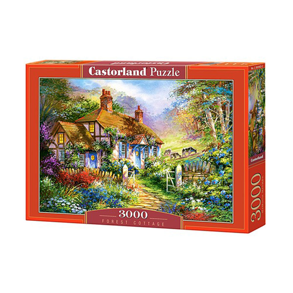 Castorland Classic Puzzle 3000 stk