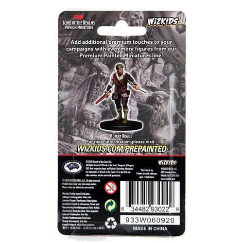 Dungeons & Dragons Premium Human Rogue Male Miniature