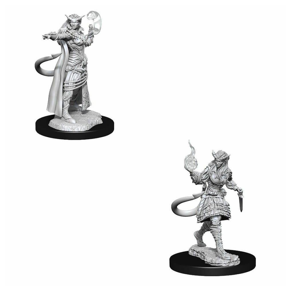 D & D Nolzurs Ongeverfde miniaturen