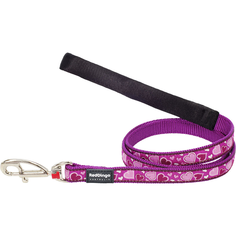 LEJOR DE DOG AMOR BREEZY (PURPULE)