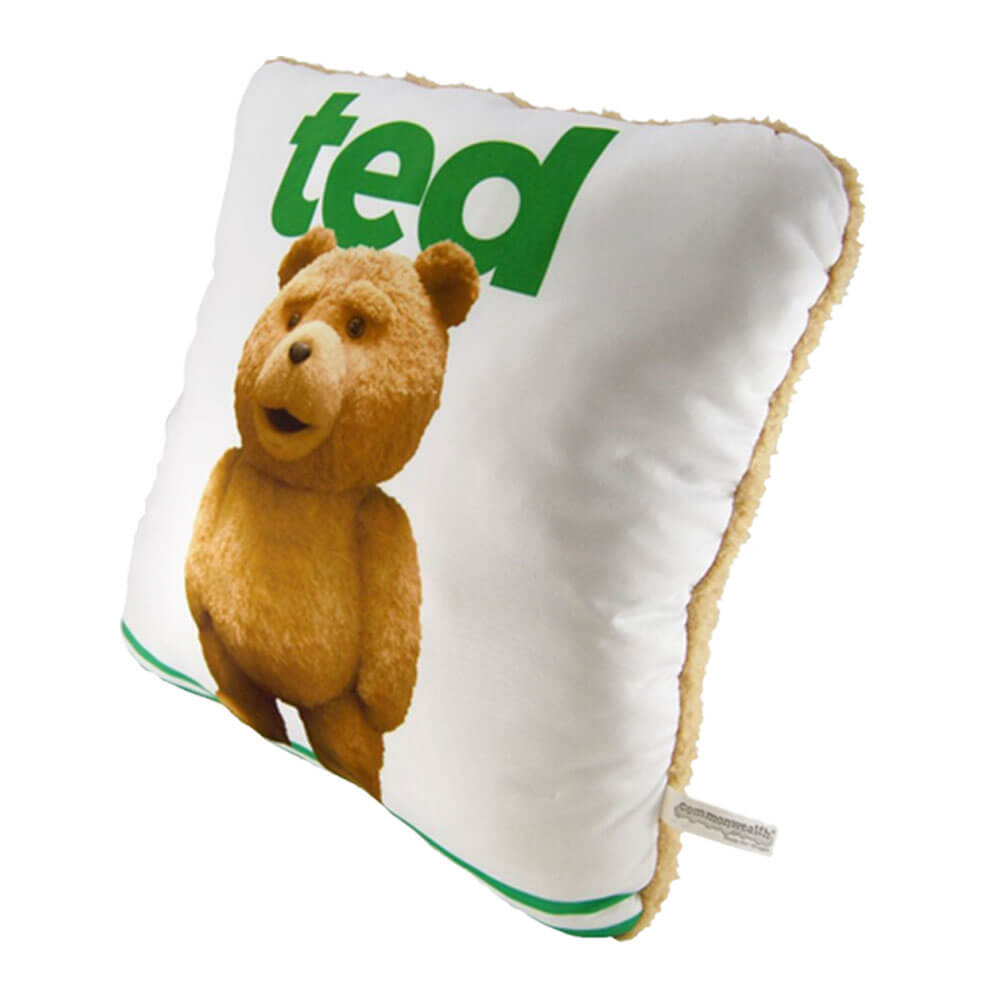 Ted 14" Pillow w/ Sound