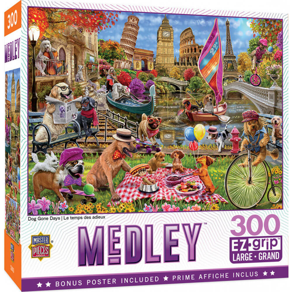 Masterpieces Ezgrip Medley 300pc Puzzle